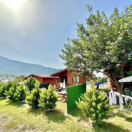 Hurmalik Apart Evleri-Very Close To The Sea Large Garden Bungalow With Barbecue And Swing Karaoz Extérieur photo