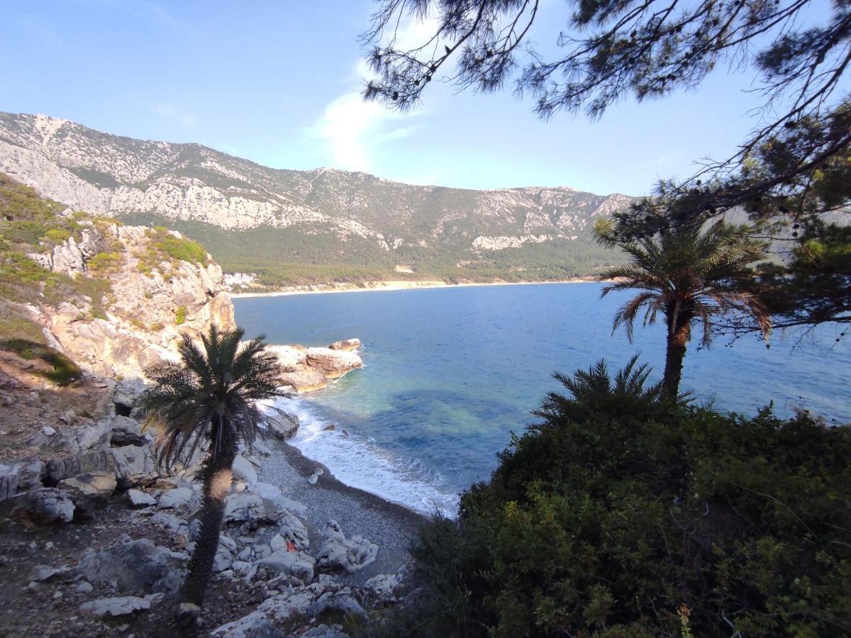 Hurmalik Apart Evleri-Very Close To The Sea Large Garden Bungalow With Barbecue And Swing Karaoz Extérieur photo