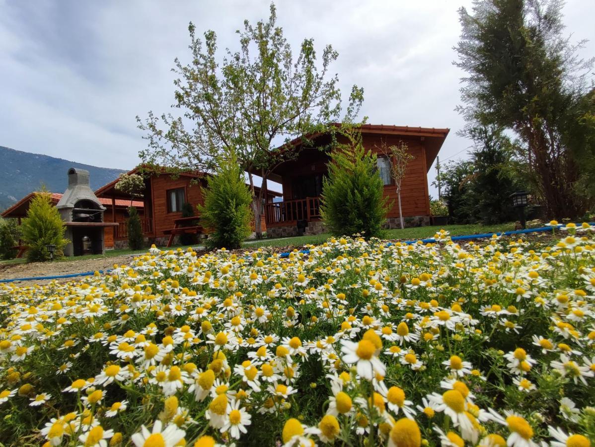 Hurmalik Apart Evleri-Very Close To The Sea Large Garden Bungalow With Barbecue And Swing Karaoz Extérieur photo